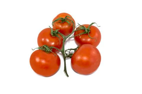 Branch of red tomatoes Stock Photos