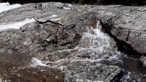 Branch on rocks of waterfall Stock Footage 155984771
