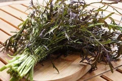 A branch of rucolla Stock Photos