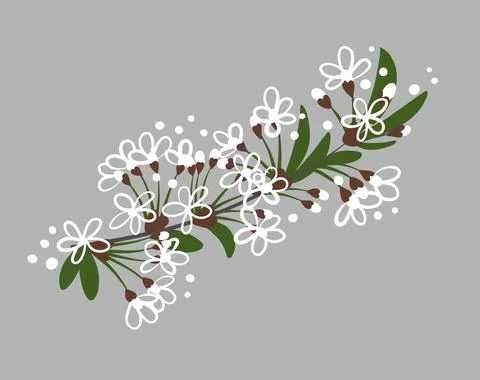 A branch of sakura or cherry with white flowers. Stylized simple style. Stock Illustration
