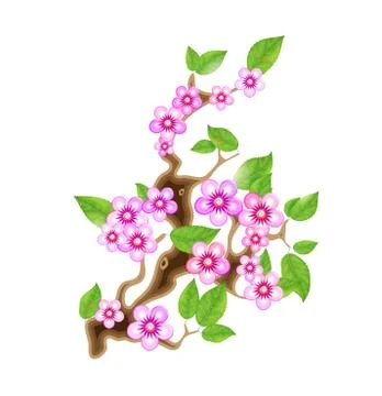 Branch sakura, vector illustration cherry blossom with flowers in anime style Stock Illustration