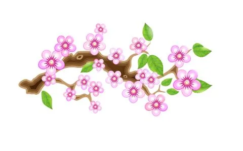 Branch sakura, vector illustration cherry blossom Illustrazione stock