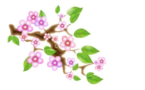 Branch sakura, vector illustration cherry blossom, with flowers anime style Stock Illustration