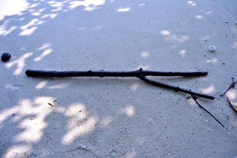 Branch in the sand Foto stock