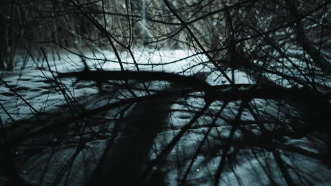 Branch Shadows Create Abstract Patterns On Frozen Surface featuring shadow ice Vidéo 347082752