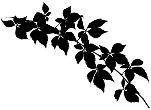 Branch Silhouette Stock Illustration