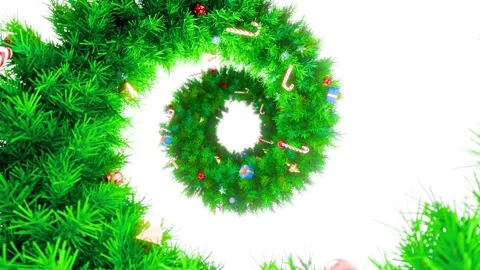 Branch spiral0001-0500 Stock Footage 321445806