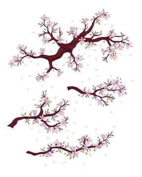 Branch spring set, foliage black, orange, vector, botanical set Stock Illustration