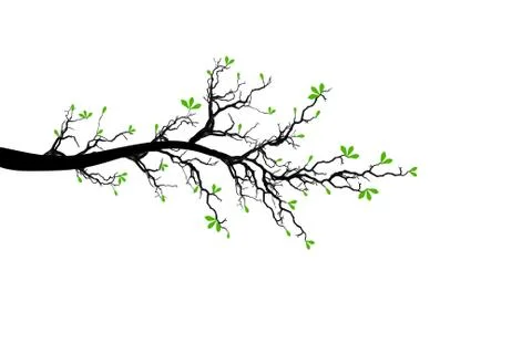 Branch of Spring Tree Stock Illustration