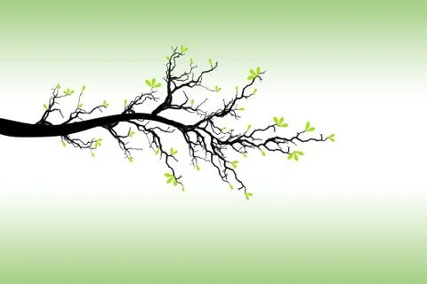 Branch of Spring Tree Stock Illustration