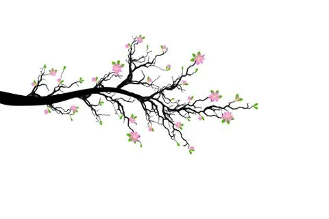 Branch of Spring Tree Stock Illustration