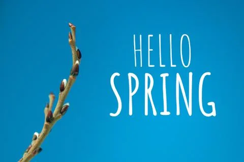 Branch with text Stock Photos