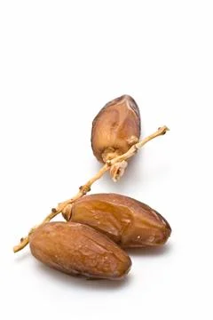 Branch with three dates. Stock Photos