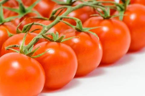 Branch of the tomato Foto stock