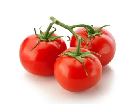 Branch of tomato Stock Photos