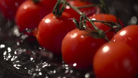 Branch Tomato slow motion closeup falling in water macro Stock Footage 124734952