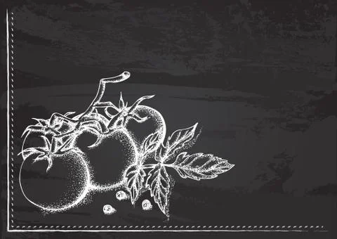 Branch of tomatoes Stock Illustration