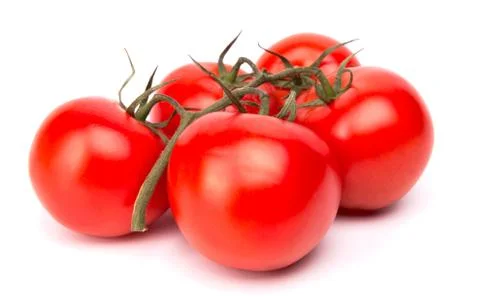 Branch of tomatoes Stock Photos