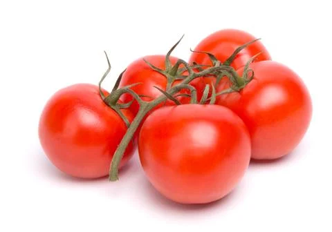 Branch of tomatoes Stock Photos