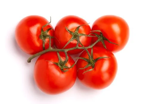 Branch of tomatoes Stock Photos