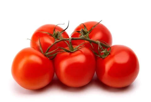 Branch of tomatoes Stock Photos