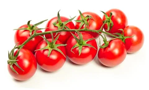 Branch of tomatoes Stock Photos