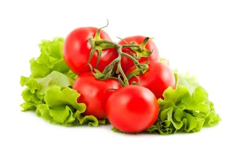 Branch of tomatoes Stock Photos