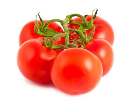Branch of tomatoes Stock Photos