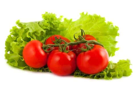 Branch of tomatoes on salad leaf Stock Photos