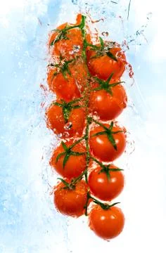 Branch of tomatoes in water splashes.. Stock Photos