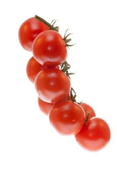 A branch of tomatoes on white background Stock Photos