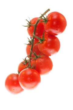 A branch of tomatoes on white background Stock Photos