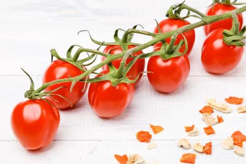 Branch of tomatoes on a white background Stock Photos
