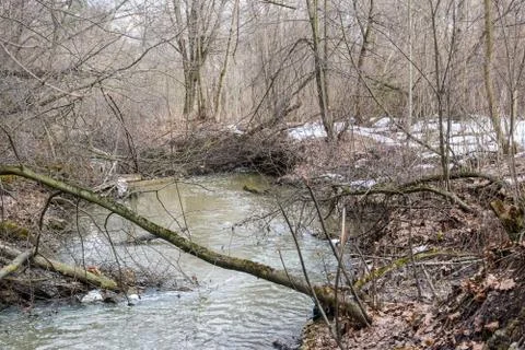 Branch of a tree across a stream Stock Photos