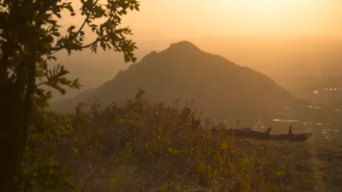 Branch of a tree on a background of a mountain in the evening light Video stock 149154246