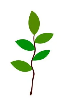 Branch Of Tree Stock Illustration