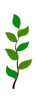 Branch Of Tree Stock Illustration