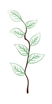 Branch Of Tree Stock Illustration