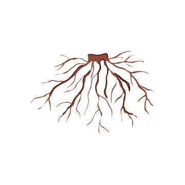 Branch tree root cartoon vector illustration 스톡 일러스트