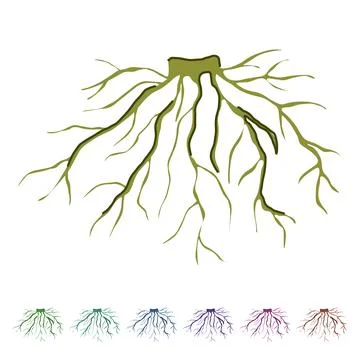 Branch tree root vector cartoon graphic Illustrazione stock