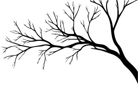 Branch of a tree without leaves. Silhouette. Isolated vector illustration. Stock Illustration
