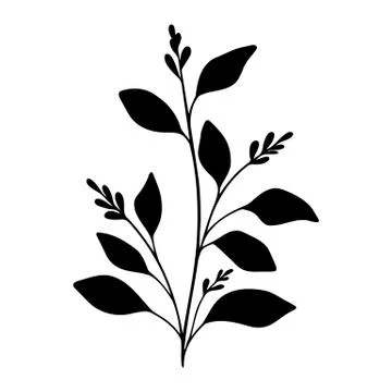Branch vector floral element. Simple black tree with berry and leaves. Hand Stock Illustration
