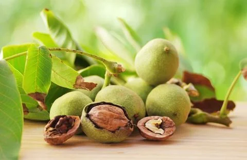Branch of walnuts on table Stock Photos