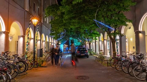 Branched high tree illuminated with bright colorful lights in darkness of night Stock-Footage 143624601