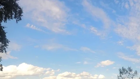 Branches and clouds against blue sky timelapse Stock Footage 79814830