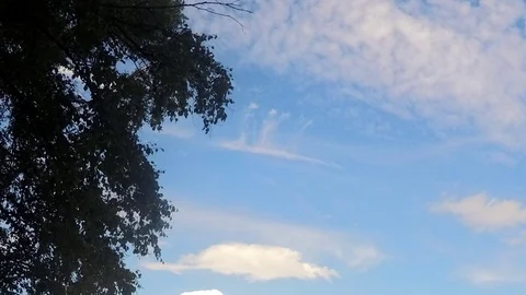 Branches And Clouds Against The Sky Timelapse Vidéo 79815407