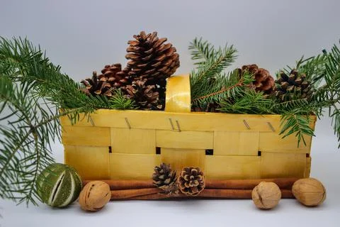 Branches and cones of spruce in wicker basket Stock Photos