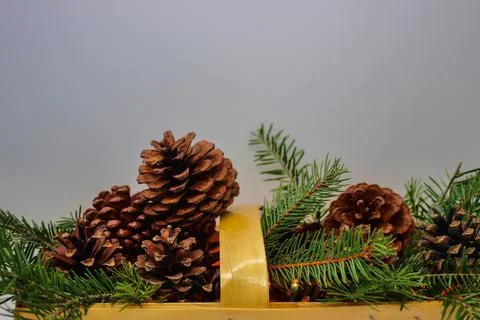 Branches and cones of spruce in wicker basket Stock Photos