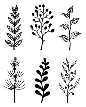 Branches and herbs vector set. Hand-drawn doodles isolated on white Stock Illustration