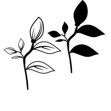 Branches and Leaves Elements  Illustrazione stock